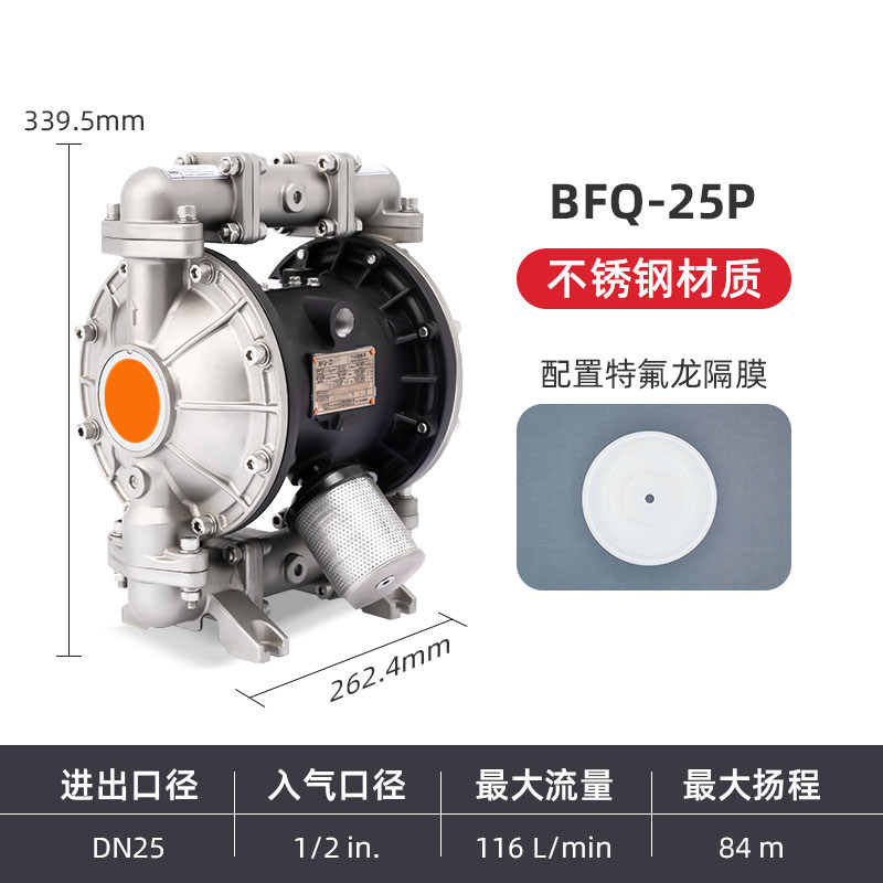 1 in Stainless steel AODD Pump