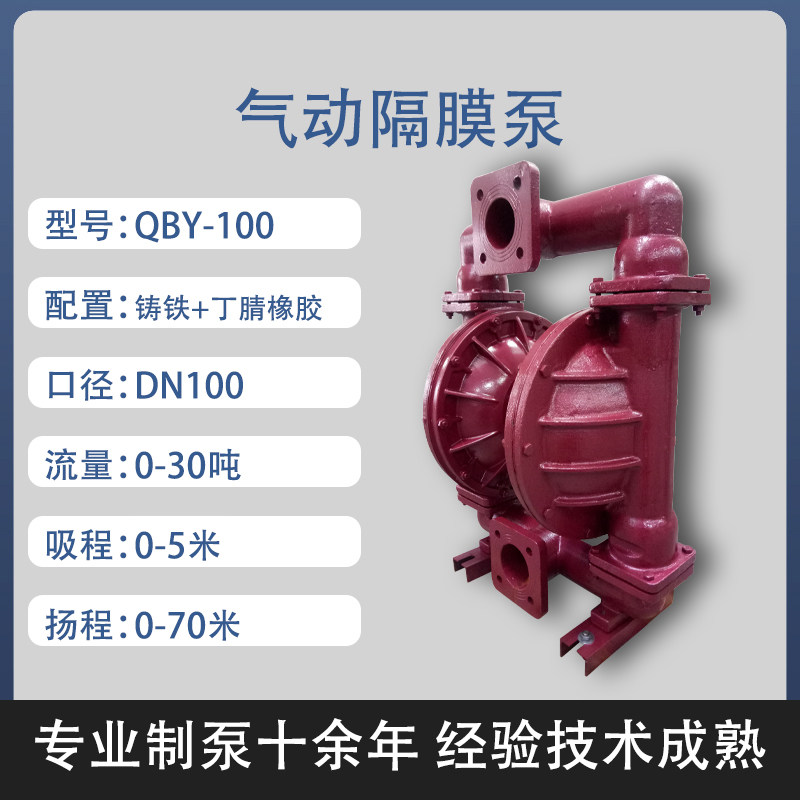 4 in Cast iron AODD Pump