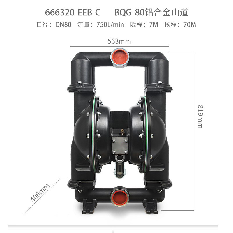 3 in Aluminum AODD Pump
