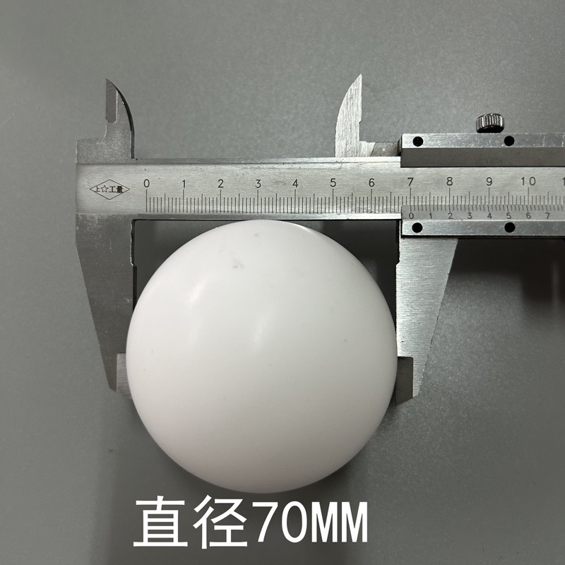 PTFE Check Ball — 70mm