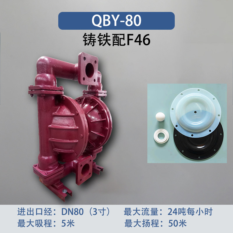 3 in Cast iron AODD Pump