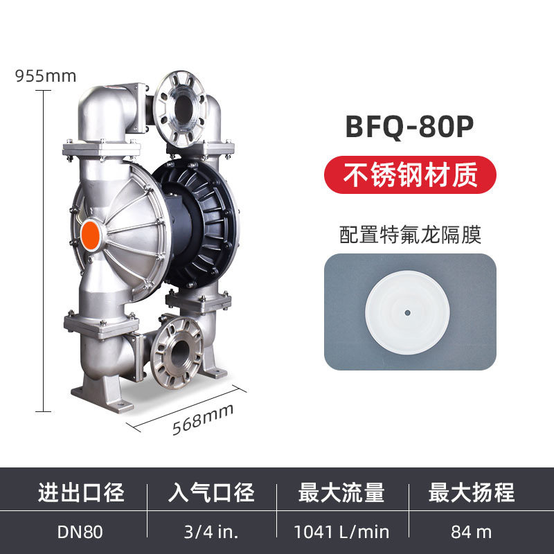 3 in Stainless steel AODD Pump