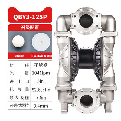 5 in Stainless steel AODD Pump