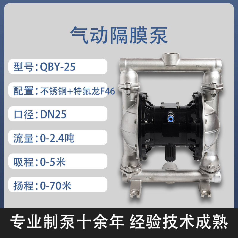 1 in Stainless steel AODD Pump