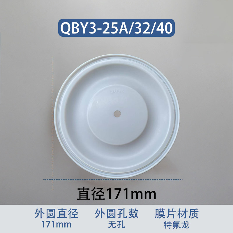 Fluoropolymer Replacement Diaphragm — 171mm