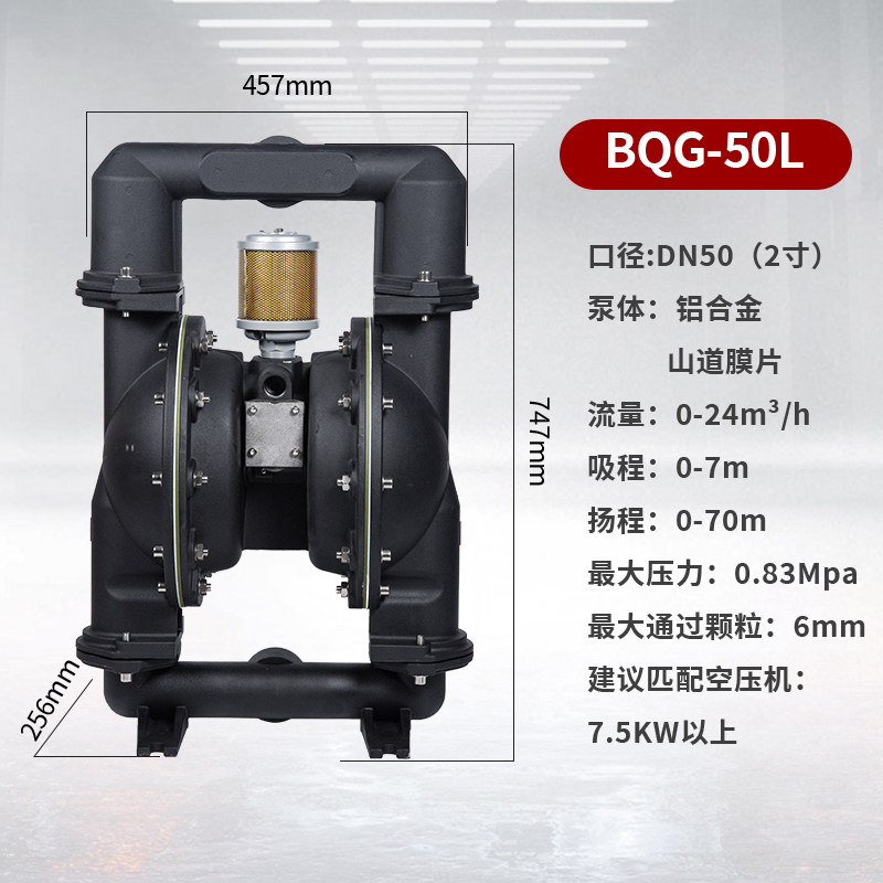 2 in Aluminum AODD Pump