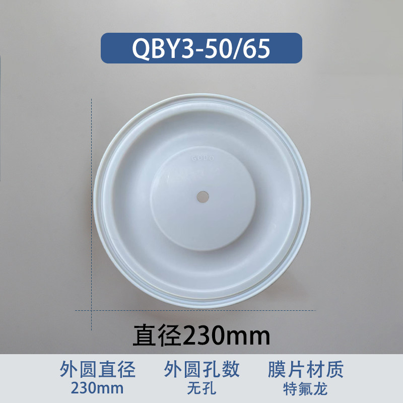 Fluoropolymer Replacement Diaphragm — 230mm