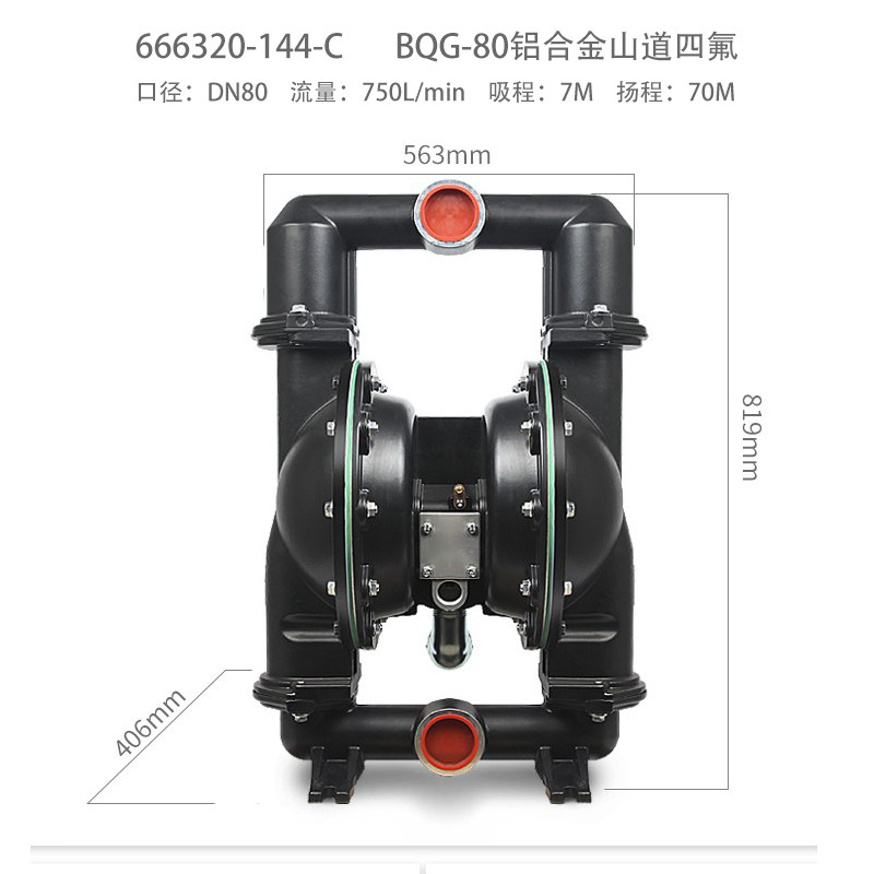 3 in Aluminum AODD Pump