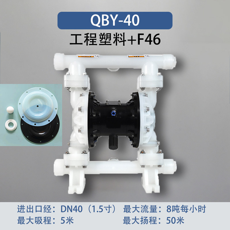 1-1/2 in Plastic AODD Pump