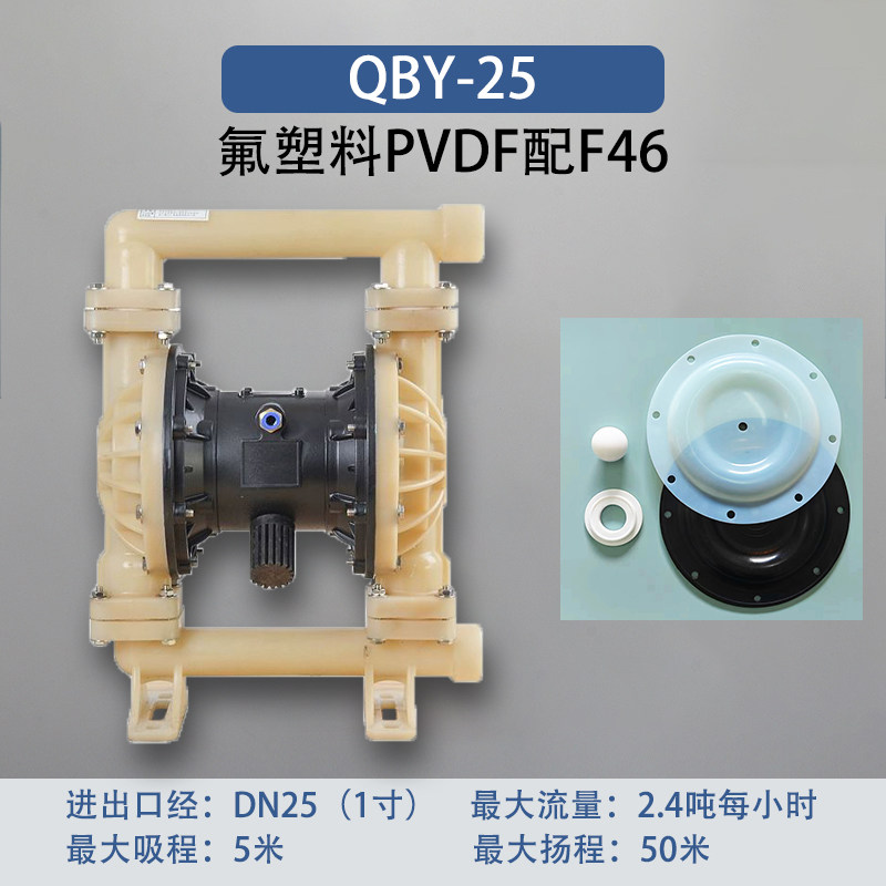 1 in PVDF AODD Pump