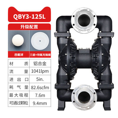 5 in Aluminum AODD Pump