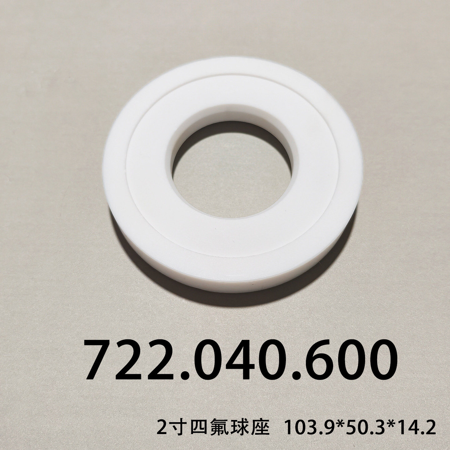 PTFE Check Valve Seat — 722.040.600