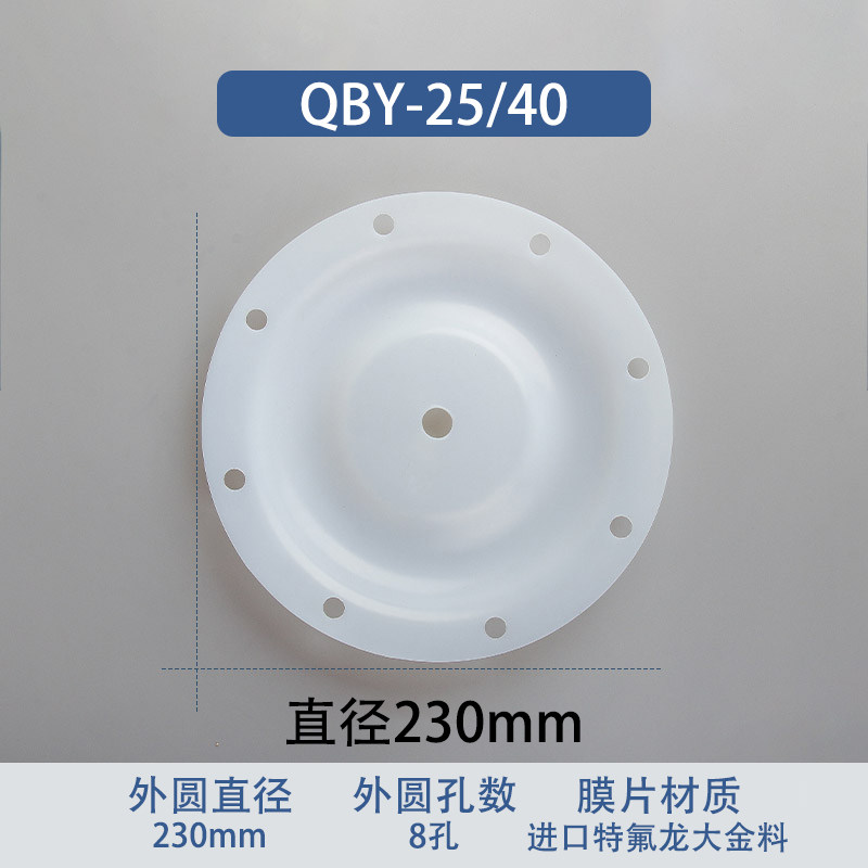 Fluoropolymer Replacement Diaphragm — 230mm