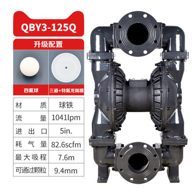 5 in Cast steel AODD Pump