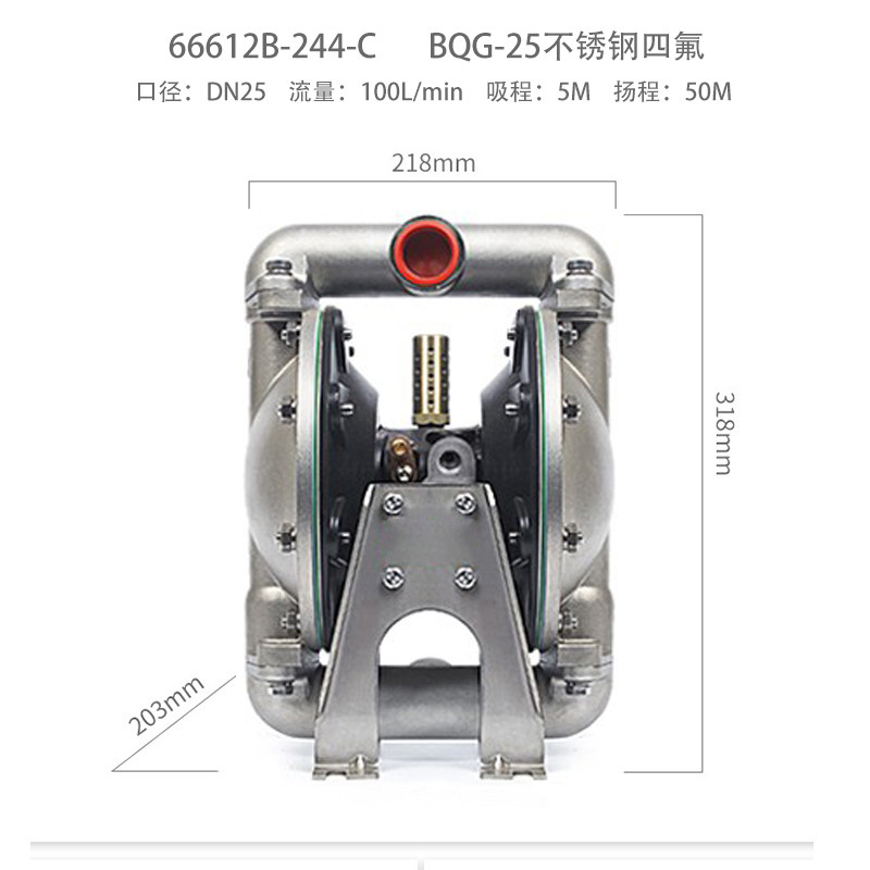 1 in Stainless steel AODD Pump