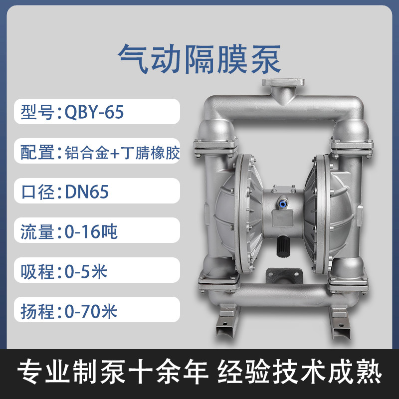 2-1/2 in Aluminum AODD Pump