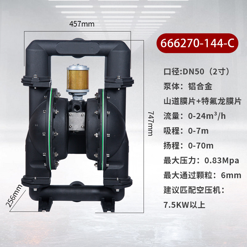 2 in AODD Pump