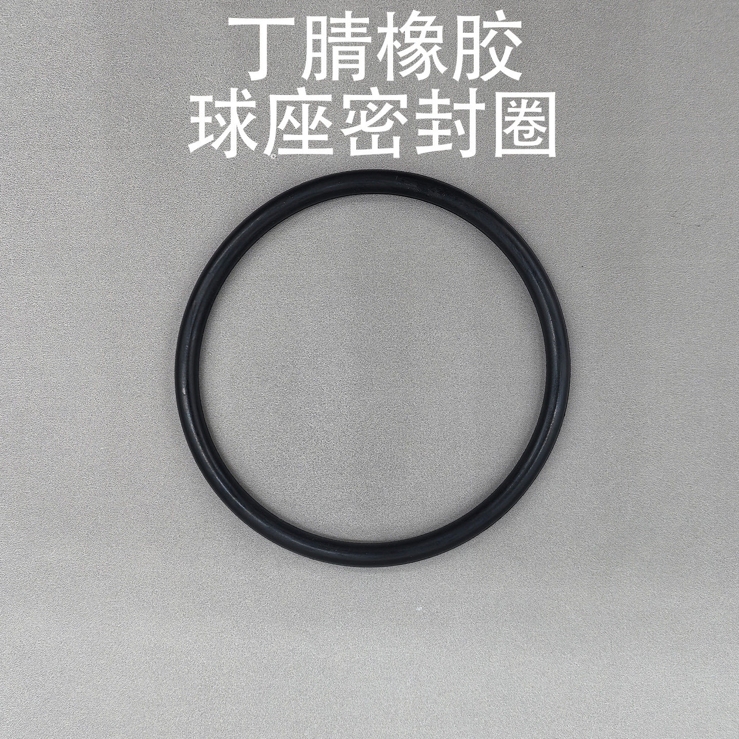Elastomer Check Seat Seal