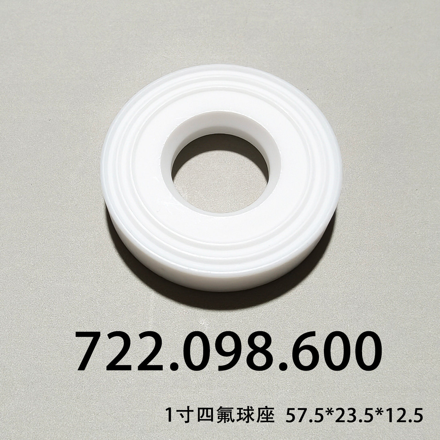 PTFE Check Valve Seat — 722.098.600