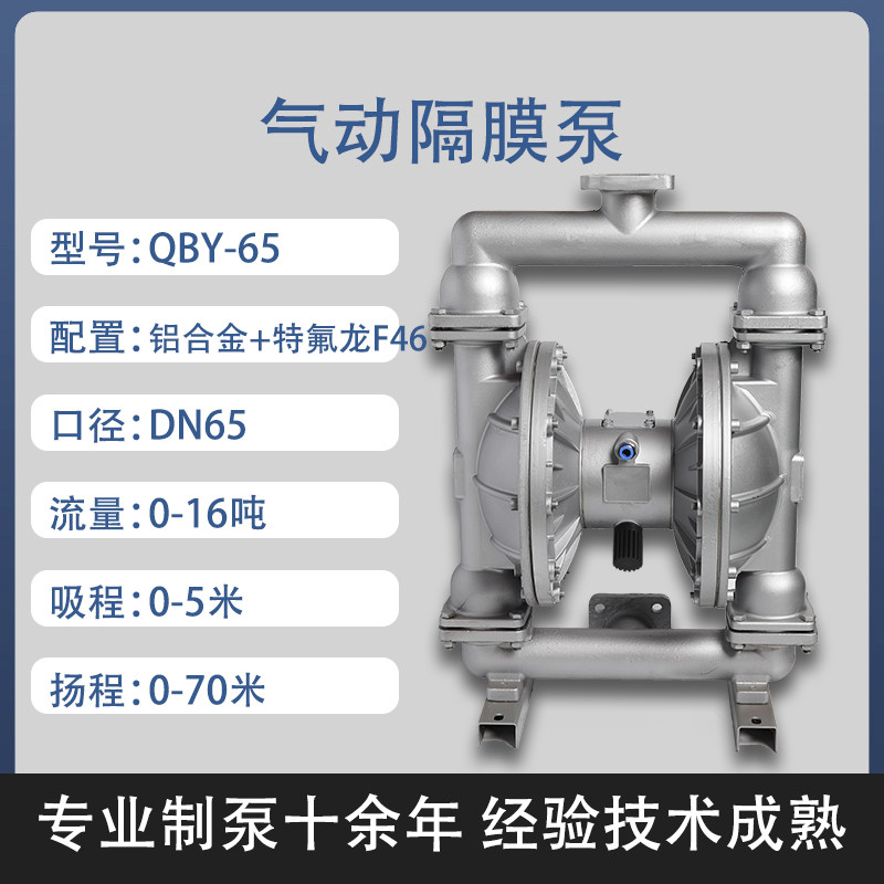 2-1/2 in Aluminum AODD Pump
