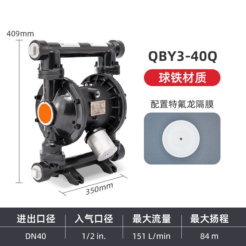 1-1/2 in Ductile iron AODD Pump