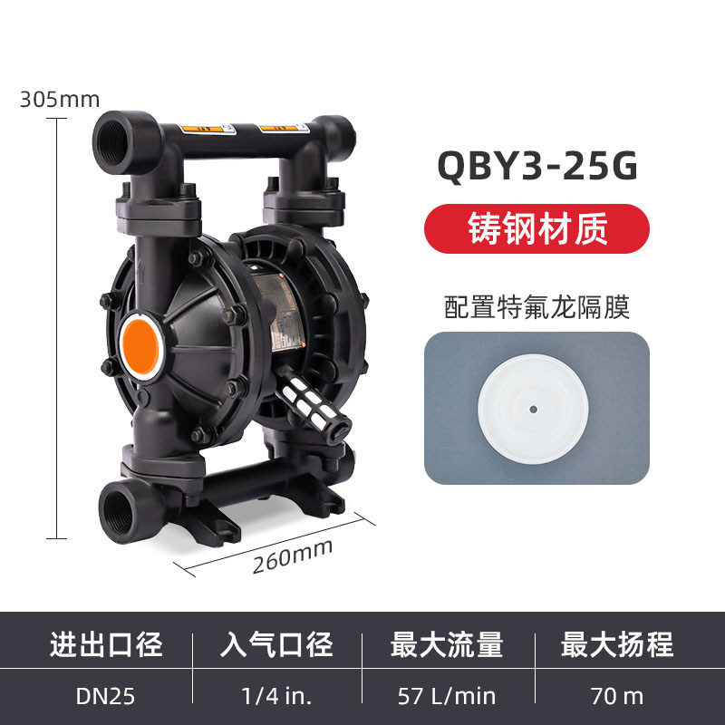 1 in Cast steel AODD Pump