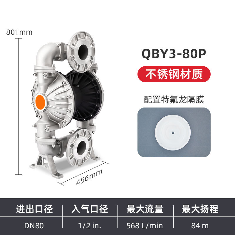 3 in Stainless steel AODD Pump