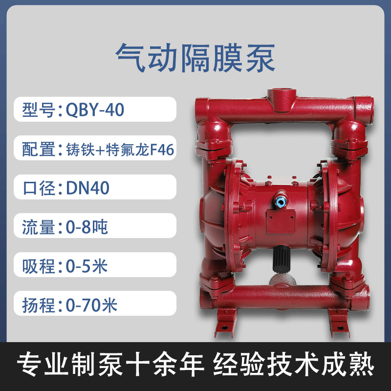 1-1/2 in Cast iron AODD Pump