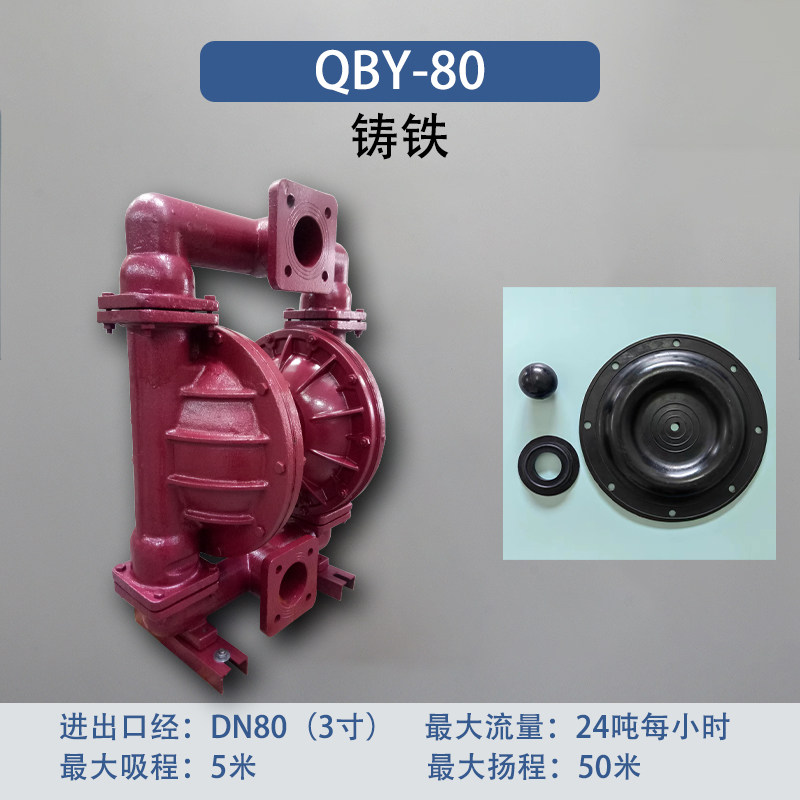 3 in Cast iron AODD Pump