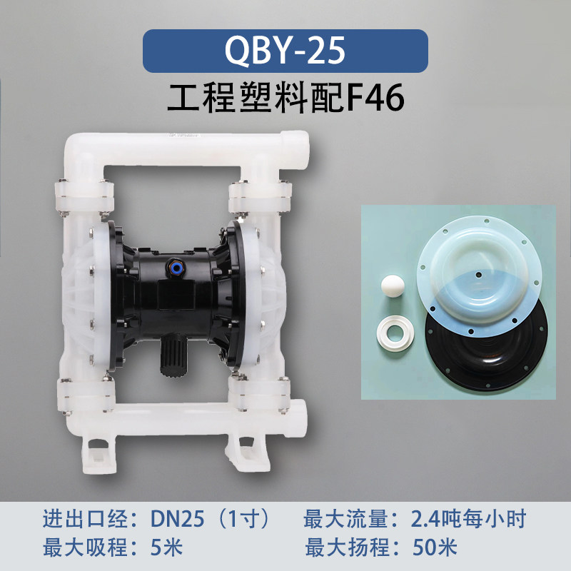 1 in Engineering plastic AODD Pump