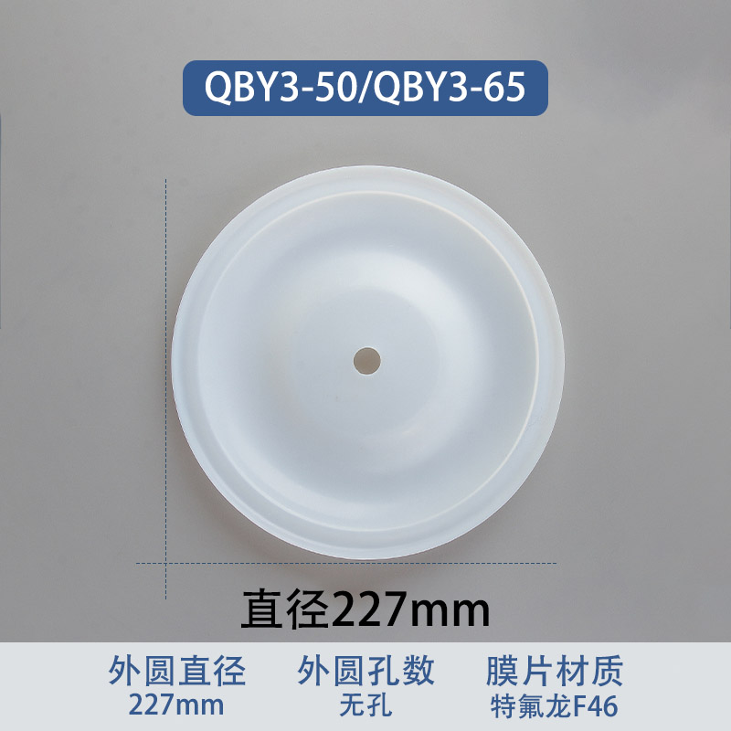 F46 fluoropolymer Replacement Diaphragm — 227mm