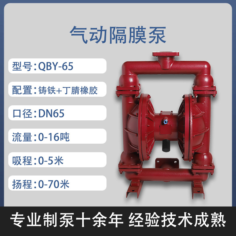 2-1/2 in Cast iron AODD Pump
