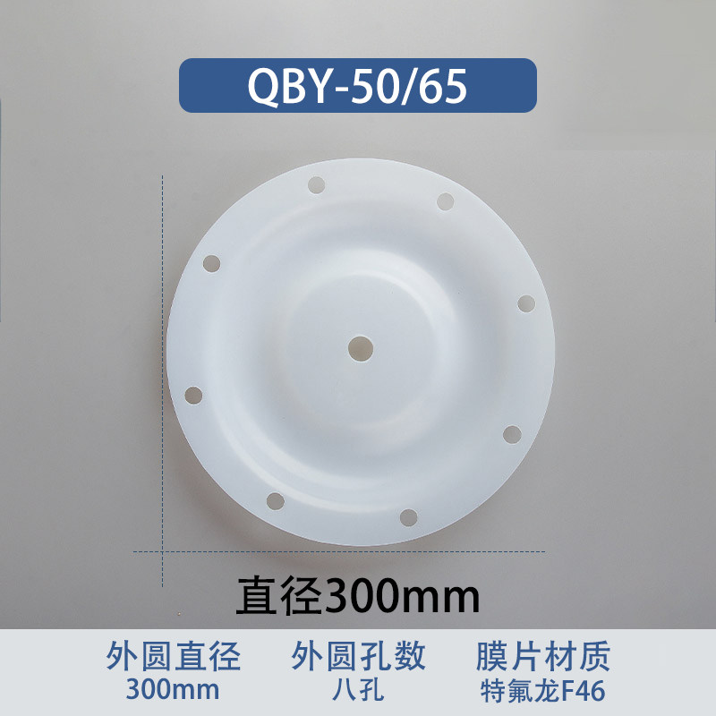 F46 fluoropolymer Replacement Diaphragm — 300mm