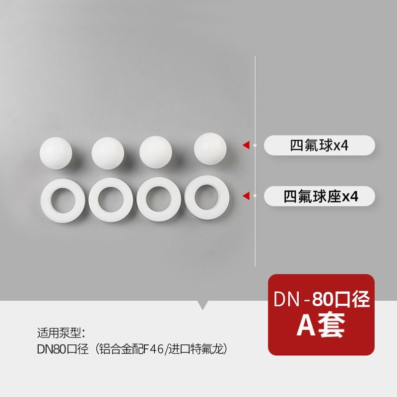 PTFE Check Valve Kit