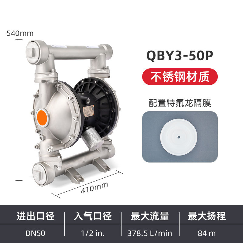 2 in Stainless steel AODD Pump