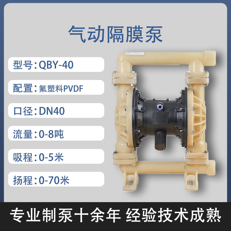 1-1/2 in PVDF AODD Pump