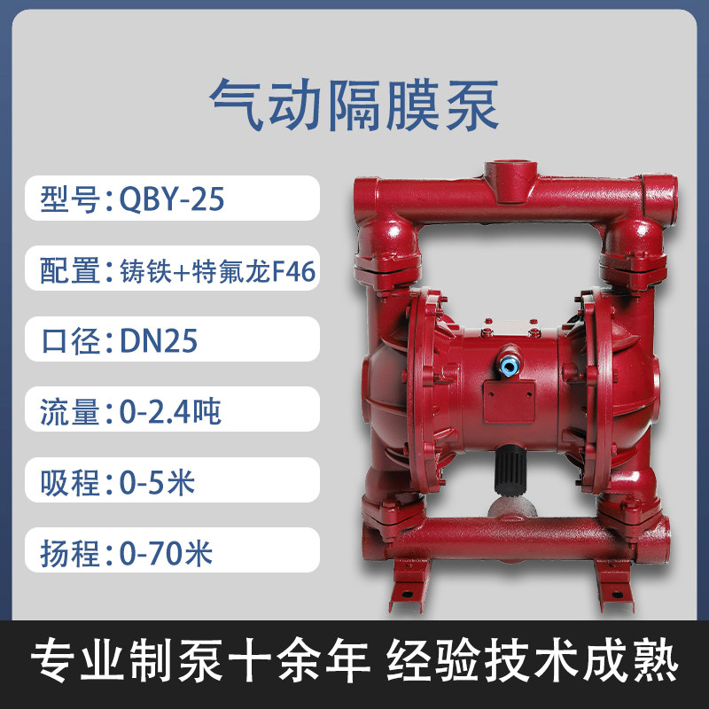 1 in Cast iron AODD Pump