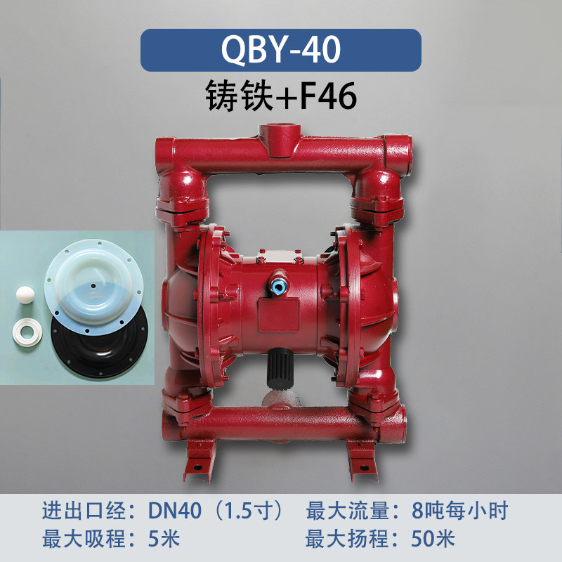 1-1/2 in Cast iron AODD Pump