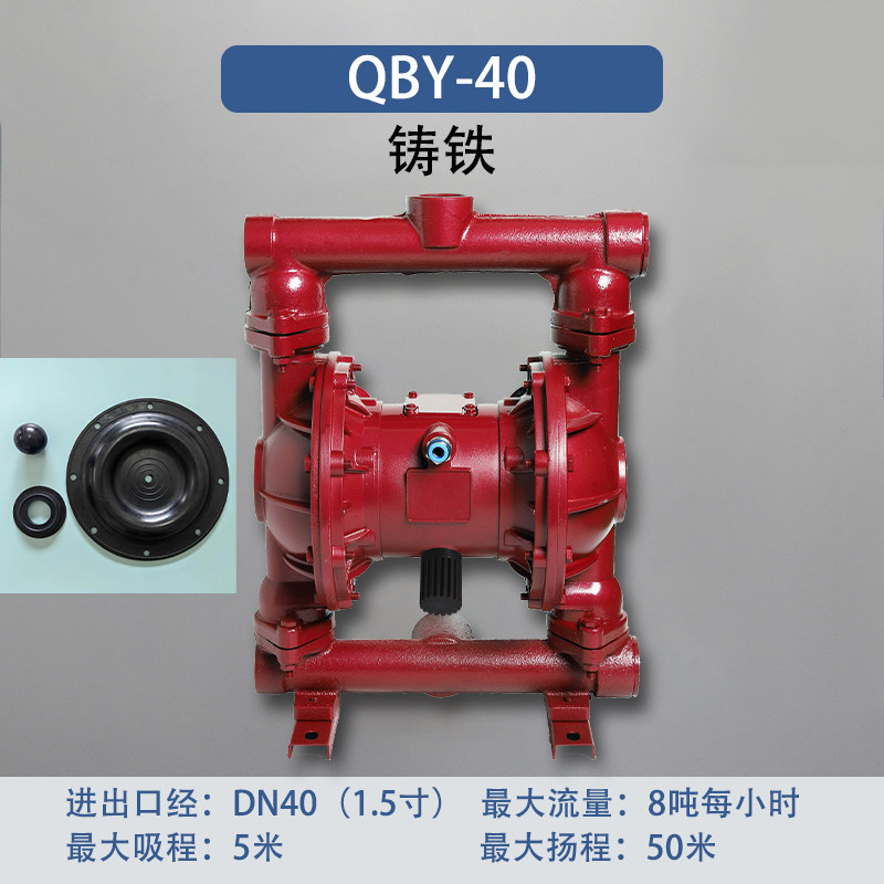 1-1/2 in Cast iron AODD Pump