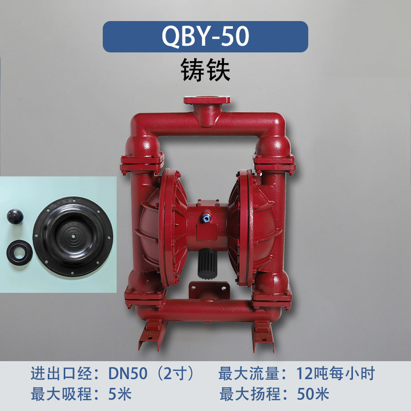 2 in Cast iron AODD Pump