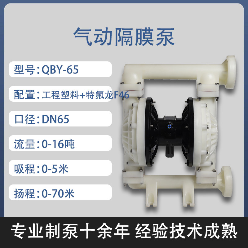 2-1/2 in Engineering plastic AODD Pump
