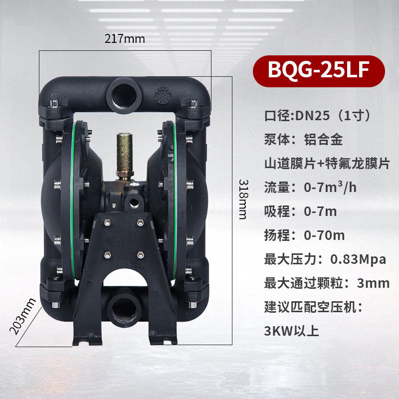 1 in Aluminum AODD Pump